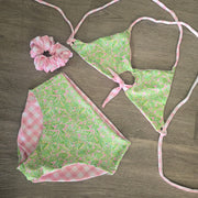 Georgia Shells SET