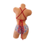 Cola Zoey Bottoms