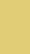Load and play video in Gallery viewer, Golden Tropics Triangle Top
